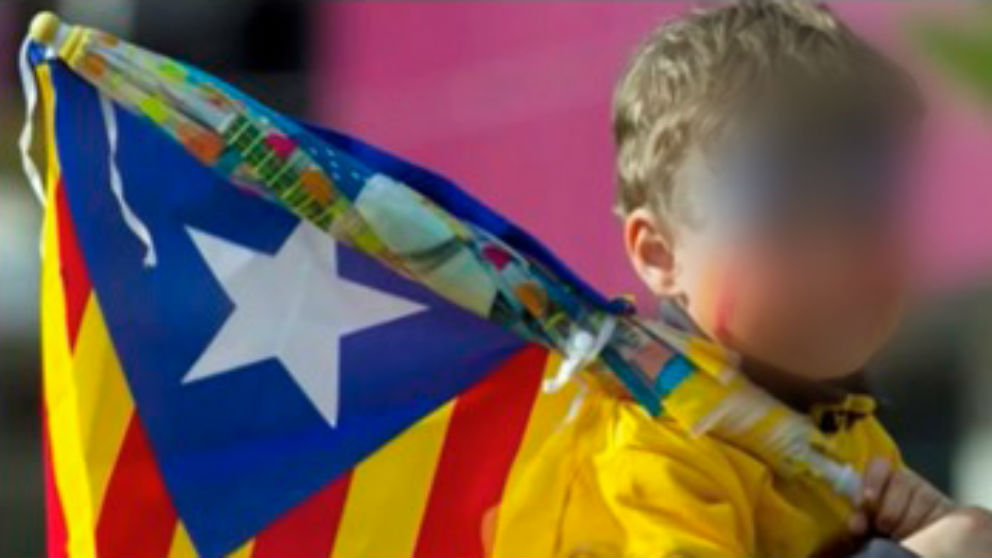 Un niño porta una bandera estelada en un acto independentista.