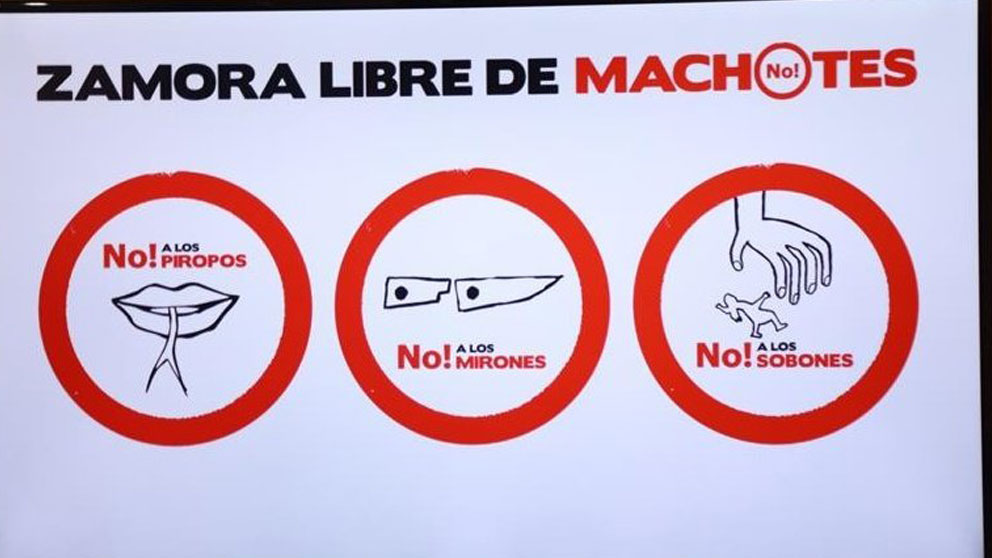 Las señales de la campaña ‘ZAmora libre de machotes’ contra el machismo en el carnaval de la localidad española.