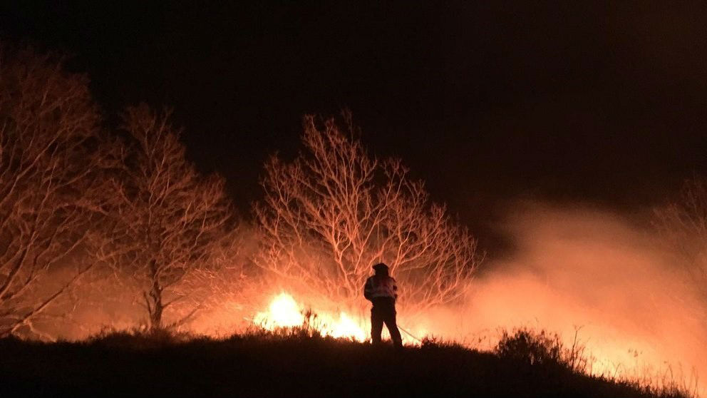 Incendio en Cantabria. Foto: Europa Press