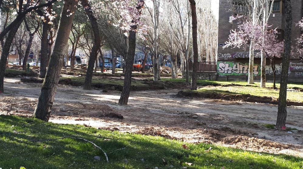 Árboles en peligro en Moratalaz, en la avenida Dr. García Tapias.