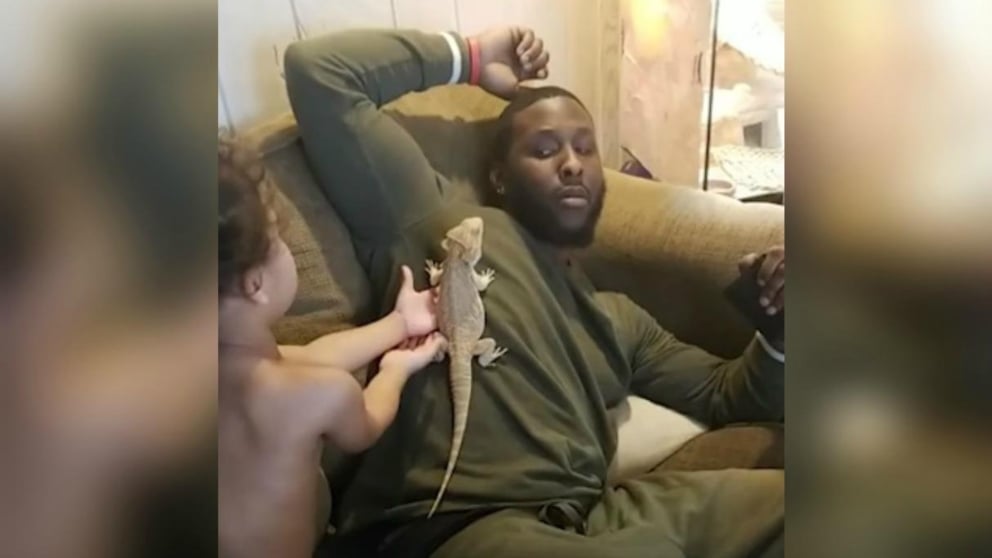 Un padre conoce la desagradable mascota de su hijo en Facebook