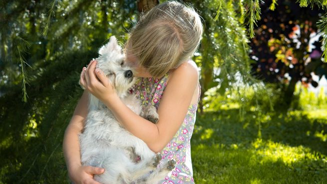 El motivo por el que no debes abrazar a tu perro