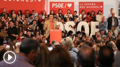 pedro-sanchez-655×368 copia