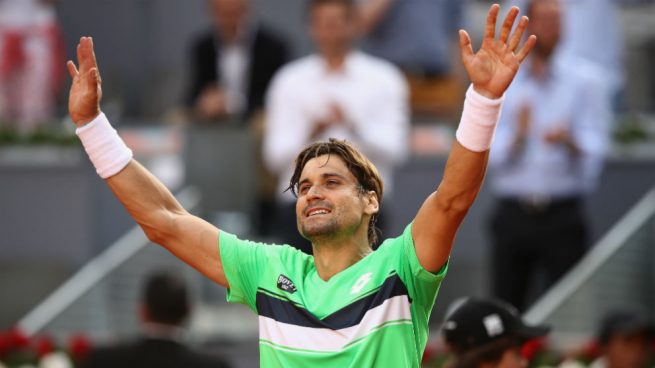 David Ferrer