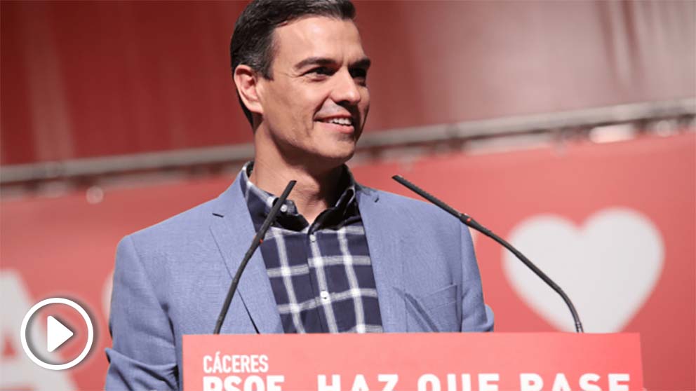 Pedro Sánchez, secretario general del PSOE. Foto. PSOE