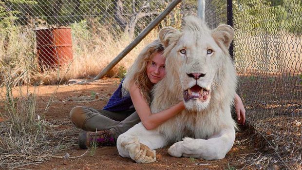 Mia y el león blanco