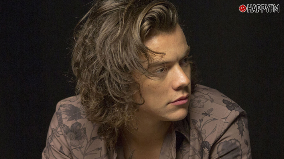 Harry Styles es motivo de burla