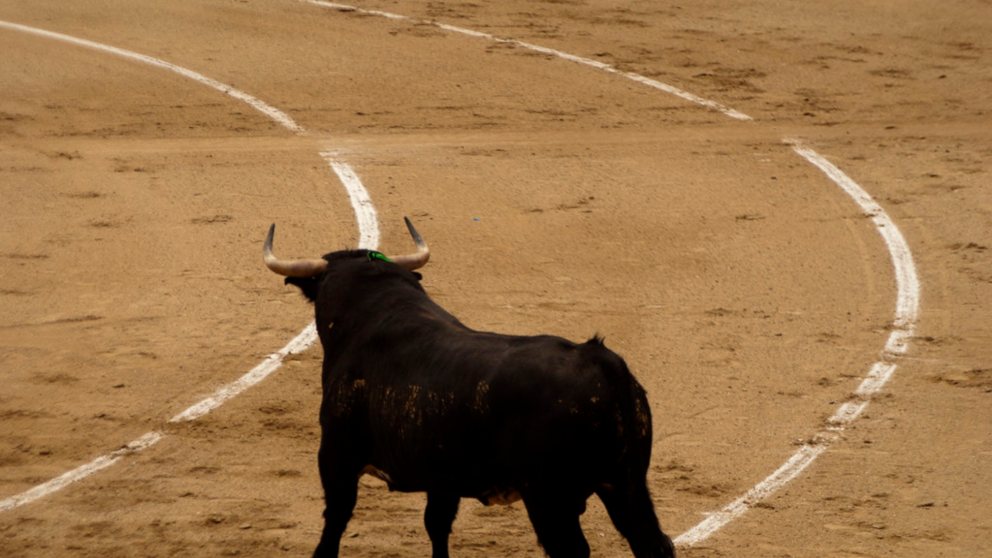 Conoce el cartel de las corridas de toros de la Feria de San Isidro 2019