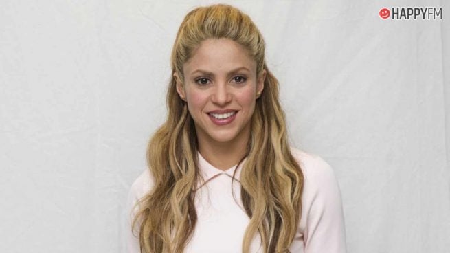 Shakira muestra en Instagram una obra de arte sobre ella que ha emocionado a sus seguidores