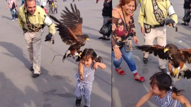 Facebook es testigo del ataque de un águila a una niña