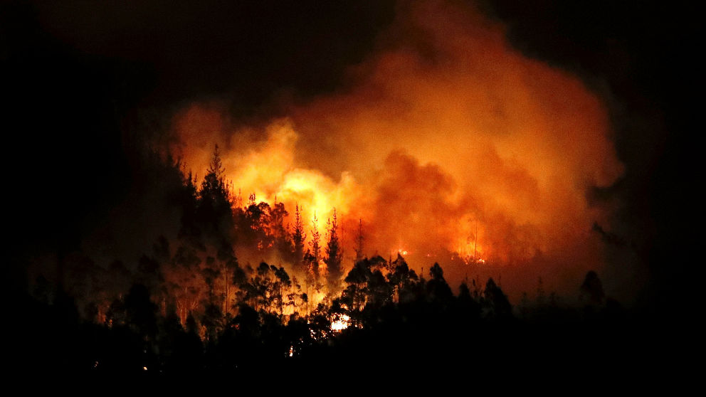 Incendio forestal. Foto: Europa Press