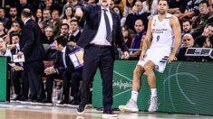 Felipe Reyes y Pablo Laso en un partido de esta temporada.