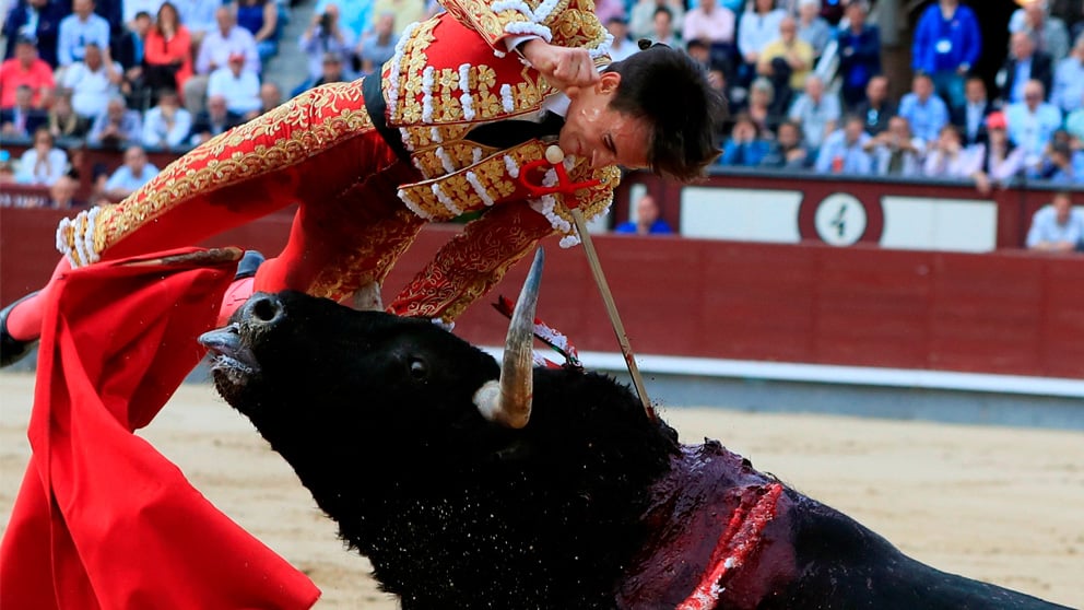 El diestro Gonzalo Caballero sufre una cogida al entrar a matar a su primer toro durante el octavo festejo de la Feria de San Isidro (EFE)