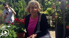 Manuel Carmena, de compras en un centro de jardinería