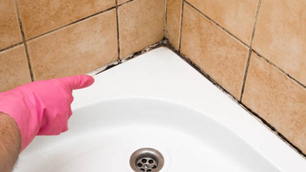Cómo eliminar el moho de la ducha y las paredes del baño