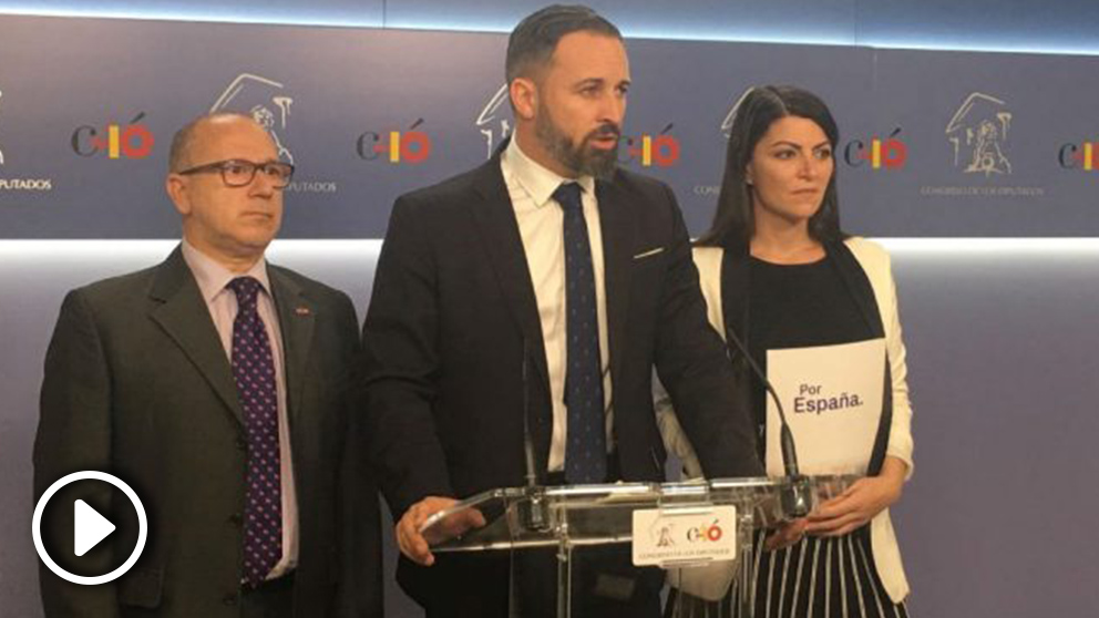 Santiago Abascal. Foto: Europa Press