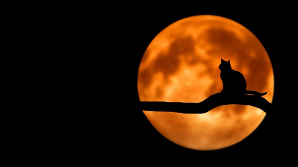 Descubre por qué se reduce la Luna