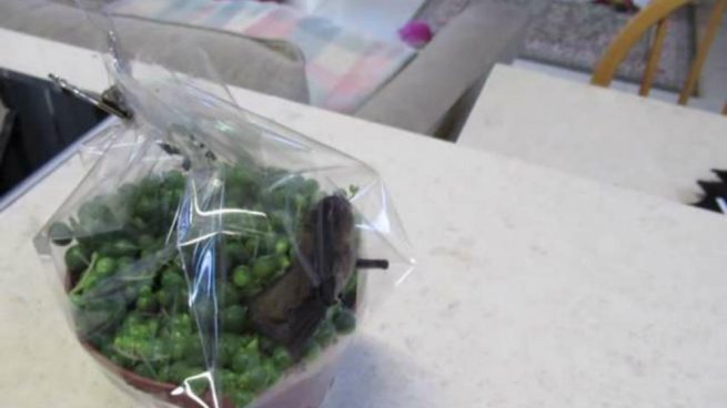 Facebook: Un regalo sorpresa que se mueve