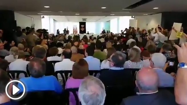 Ver vídeo