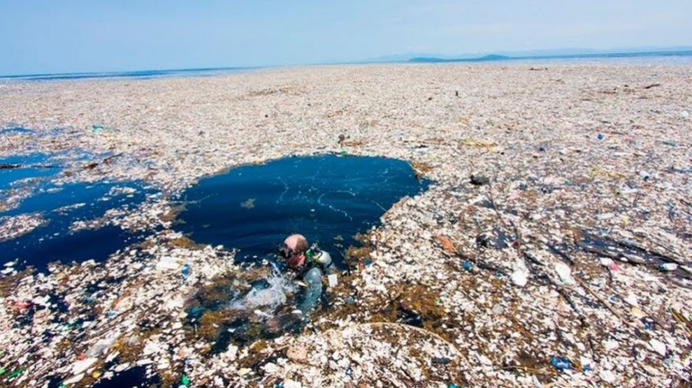 Resulta desolador descubrir lo que estamos haciendo con nuestros mares