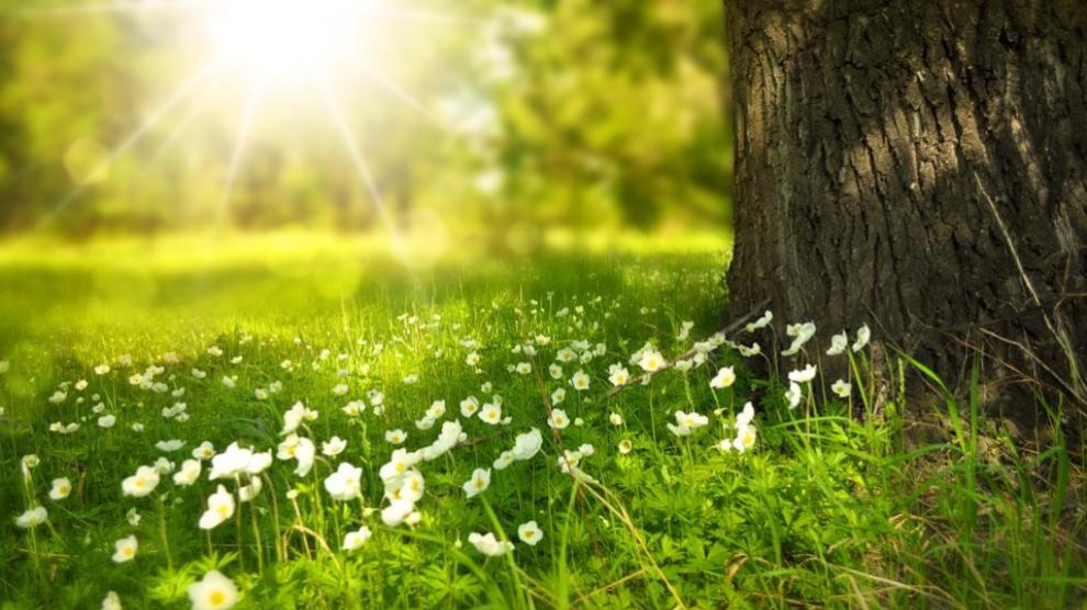 Curiosidades sobre el solsticio de verano que no conocías