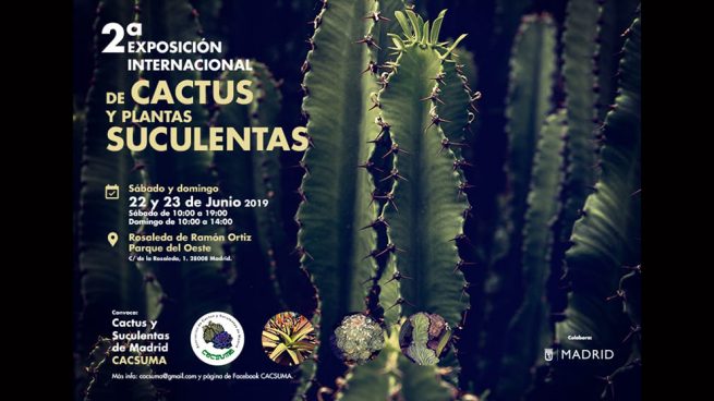 La segunda exposición internacional de Cactus y Suculentas en Madrid