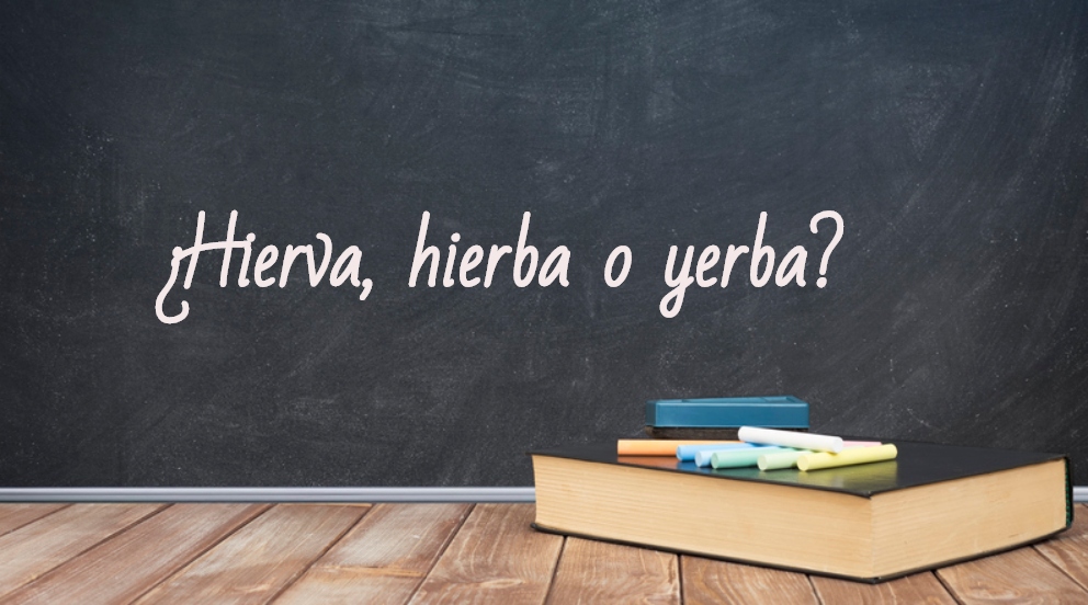 Se escribe hierva, hierba o yerba