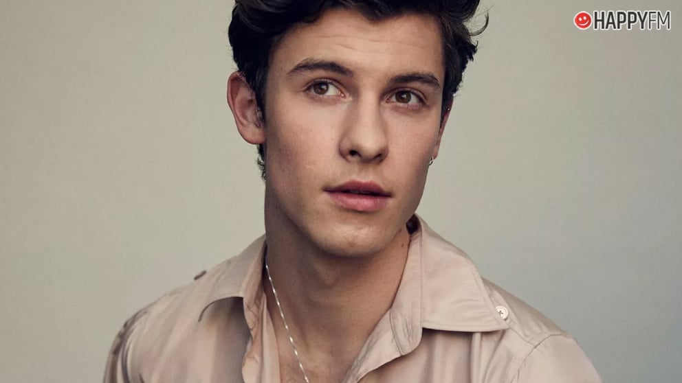 Shawn Mendes sufrió bullying