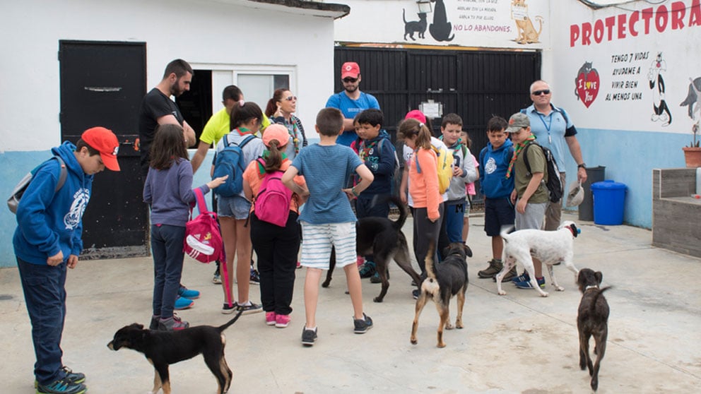 Una imagen de archivo de la Protectora de Animales de Ceuta, donde se ha declarado un brote de rabia que ha obligado al cierre del centro. Foto: Protectora de Animales de Ceuta