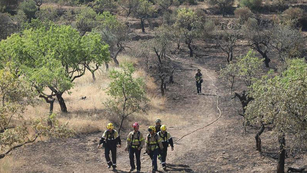 Bomberos en la zona afectada por el incendio de la Ribera del Ebro. Foto: EFE