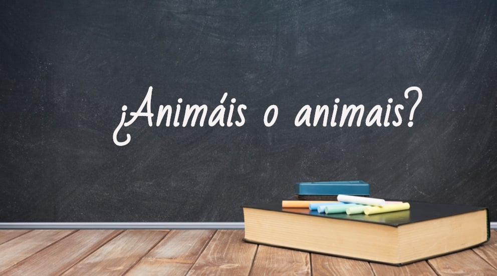 Se escribe animais o animáis