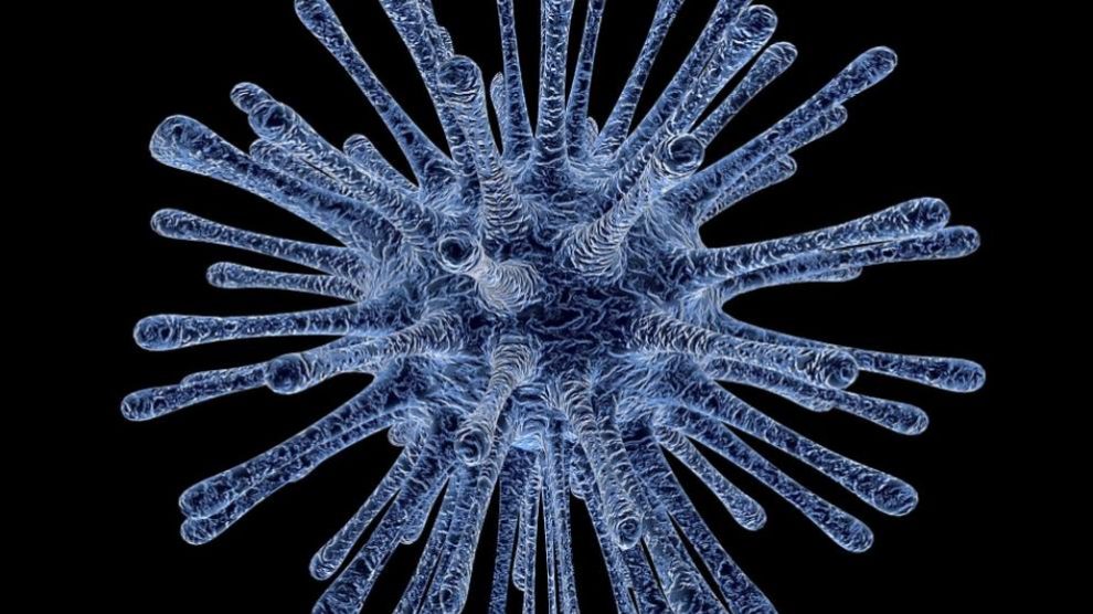 Descubre qué es una proteobacteria