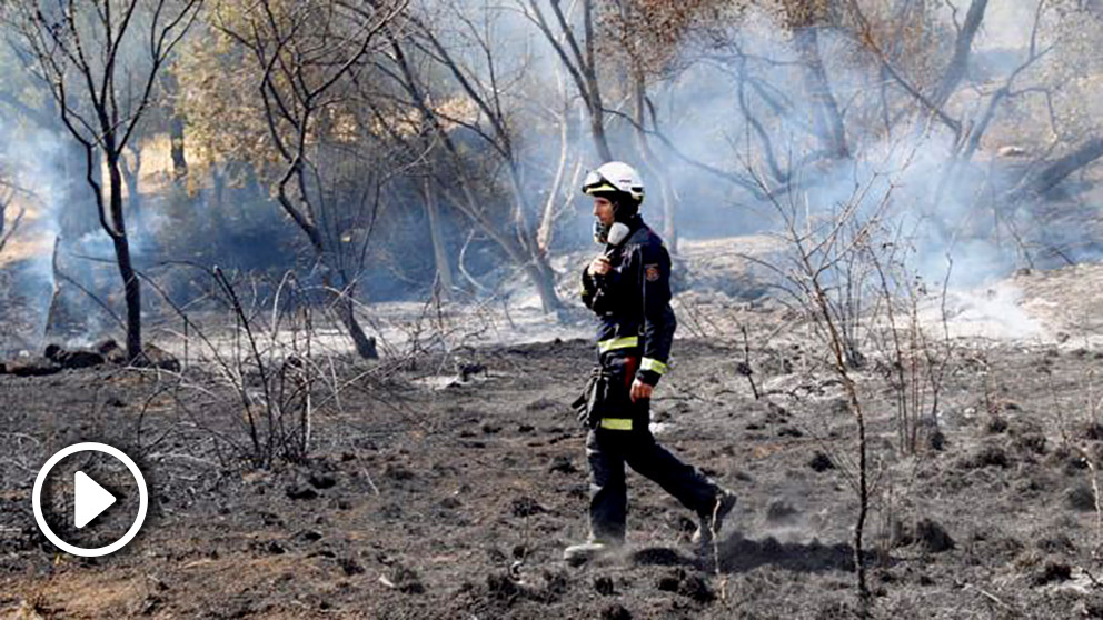 Un bombero vigila la zona calcinada por el incendio declarado en la localidad toledana de Almorox el pasado miércoles. Foto: EP