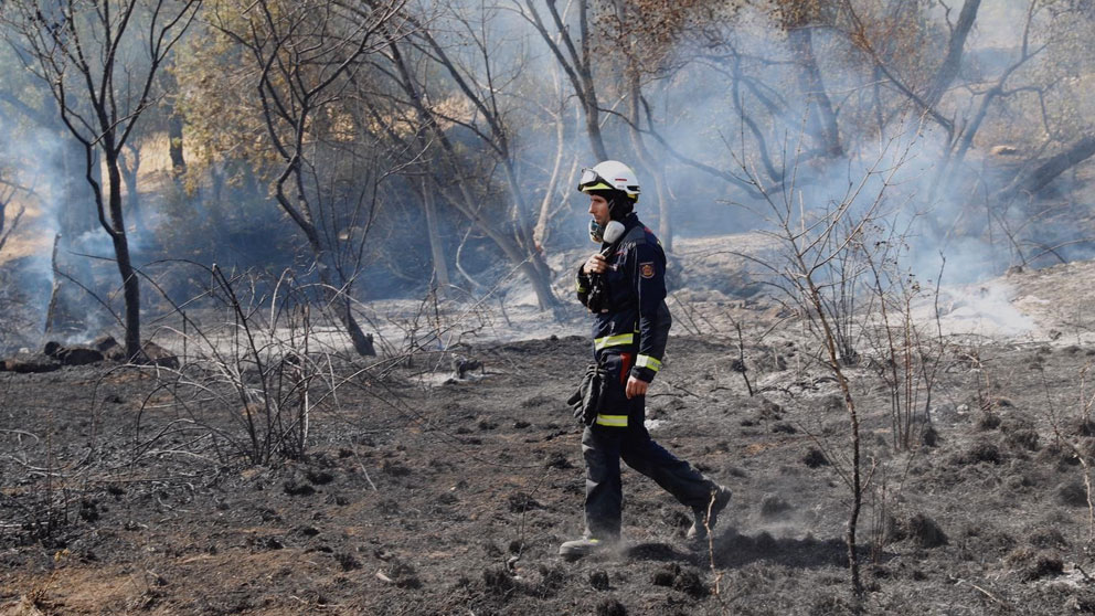 Un bombero vigila la zona calcinada por el incendio declarado en la localidad toledana de Almorox el pasado miércoles. Foto: EP