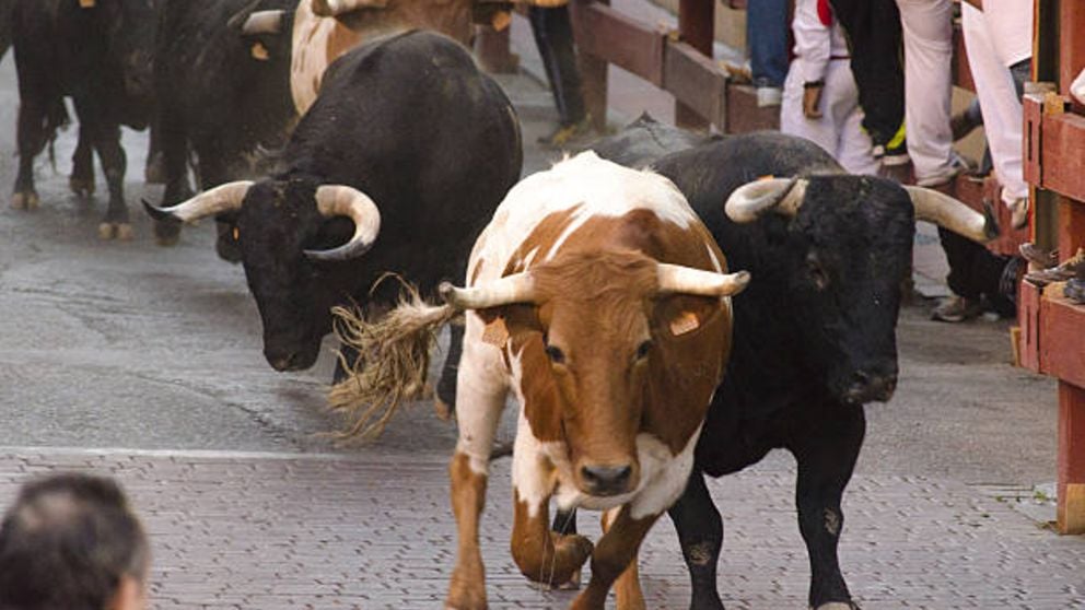 Descubre los actos de hoy miércoles 10 de julio dentro de las fiestas de San Fermín 2019