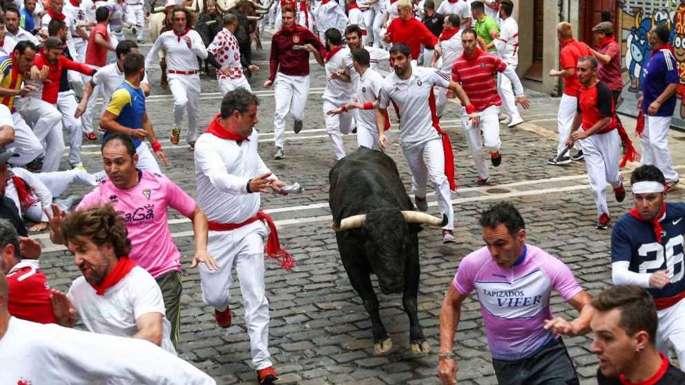 Diferentes ganaderías protagonizan cada día San Fermín