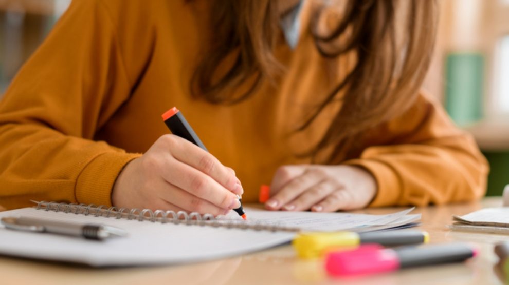 Estudiar en verano