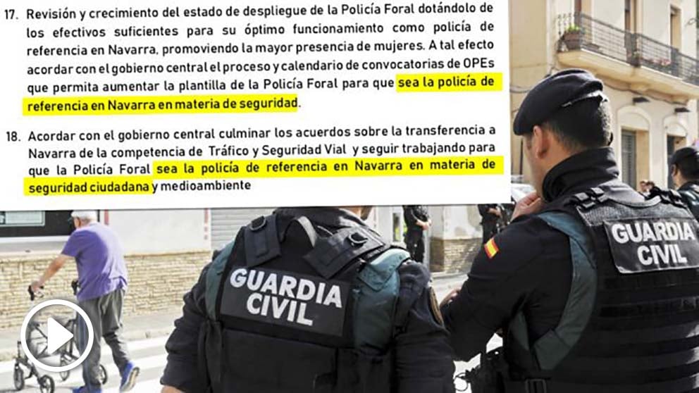 El PSOE de Navarra acepta una Ertzaintza propia para la Comunidad Foral