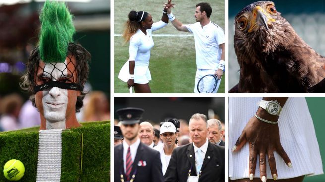 Wimbledon 2019: las imágenes más curiosas del Grand Slam inglés
