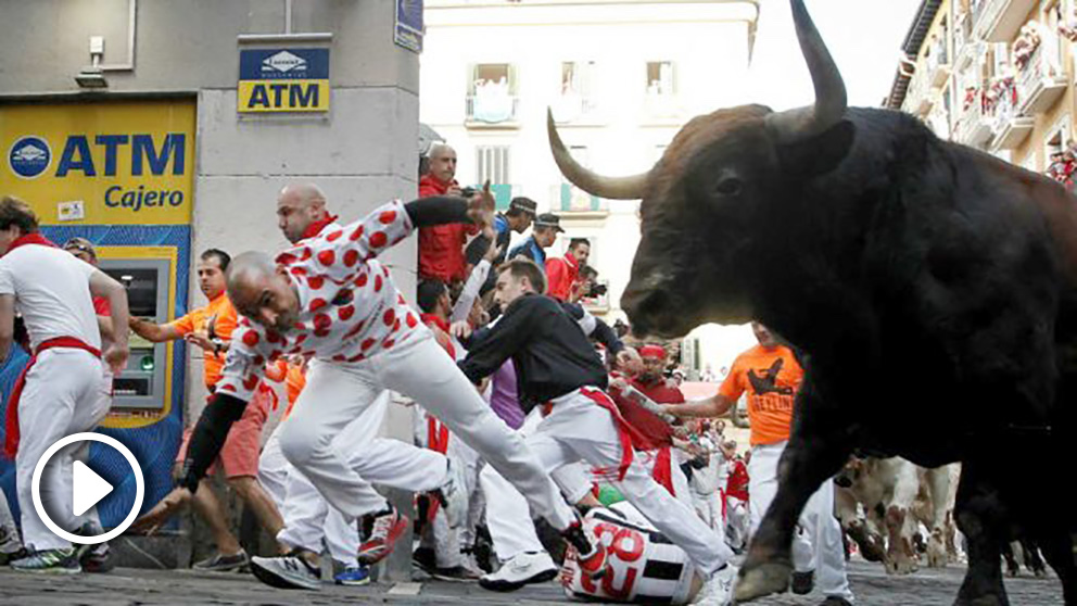 Uno de los toros de La Palmosilla durante el sexto encierro de San Fermín.