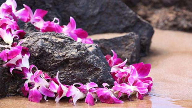 Collar con Flores Hawaianas en Distintos Colores