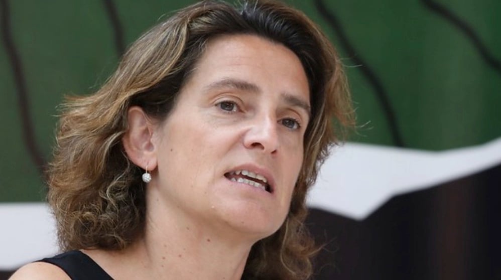 Teresa Ribera. (Foto. PSOE)