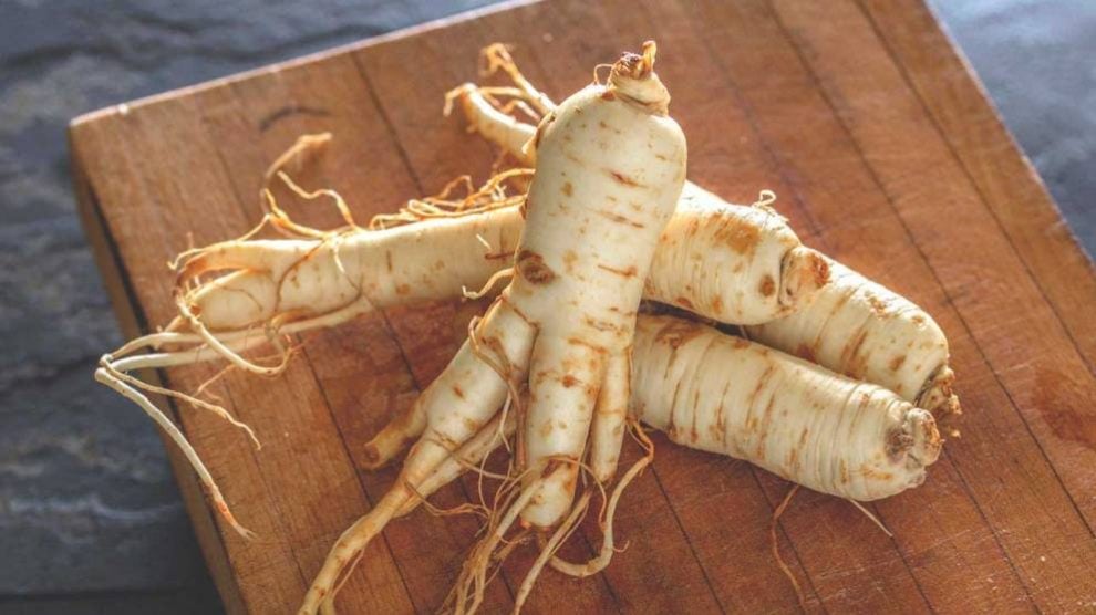 El ginseng es uno de los productos naturales muy efectivos para perder peso