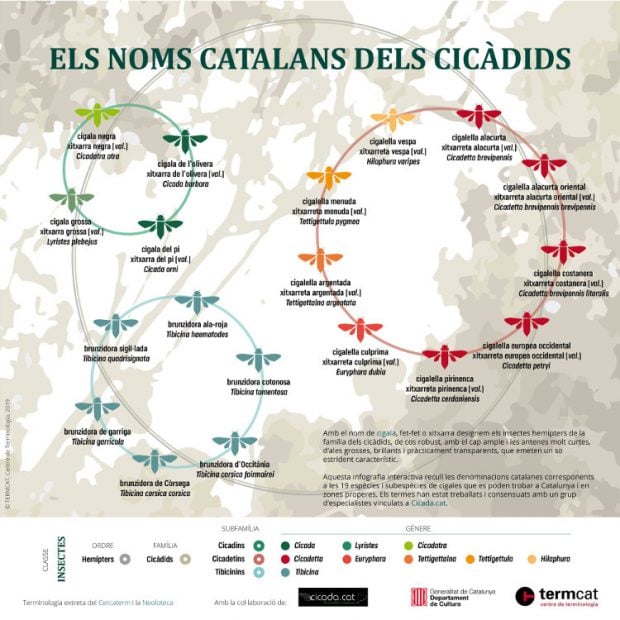 Infografía de TERMOCAT financiada por la Generalitat