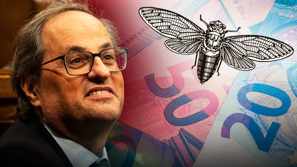 Torra financia un estudio sobre los nombres de las cigarras en catalán