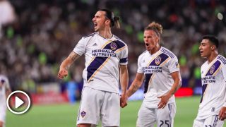 Ibrahimovic