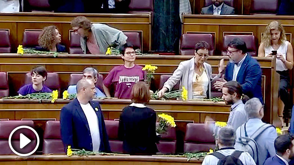 Diputados de ERC con flores amarillas en el Congreso