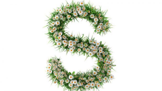 letras decorativas con flores