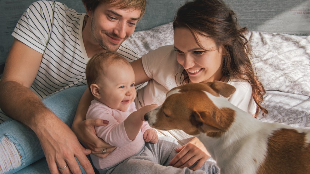 ¿Cómo enseñar al perro a estar con el bebé?