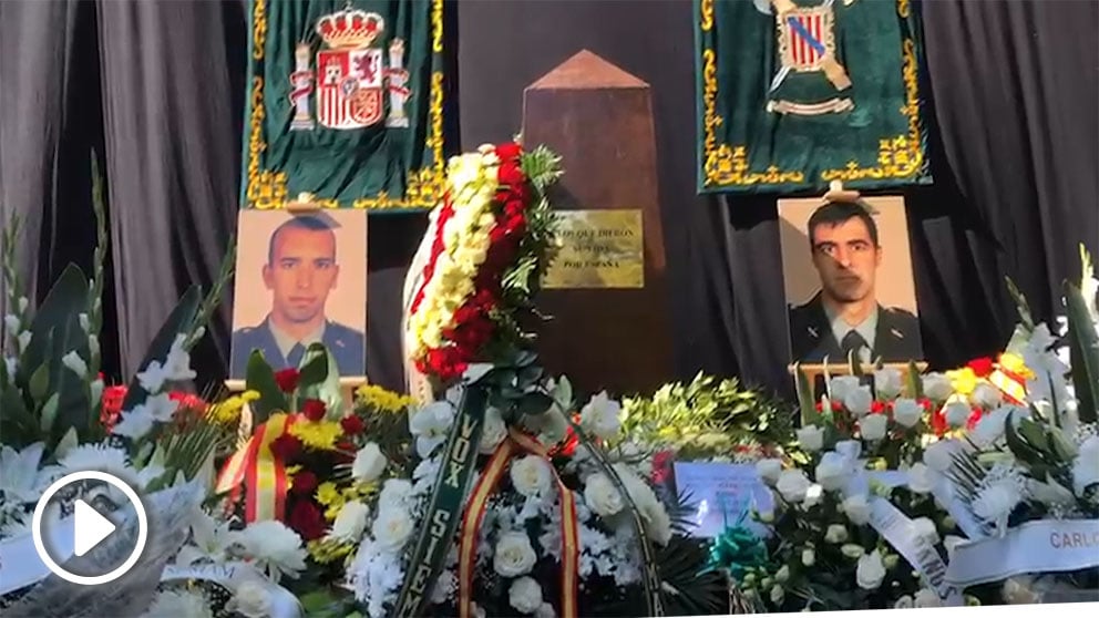 Ver vídeo